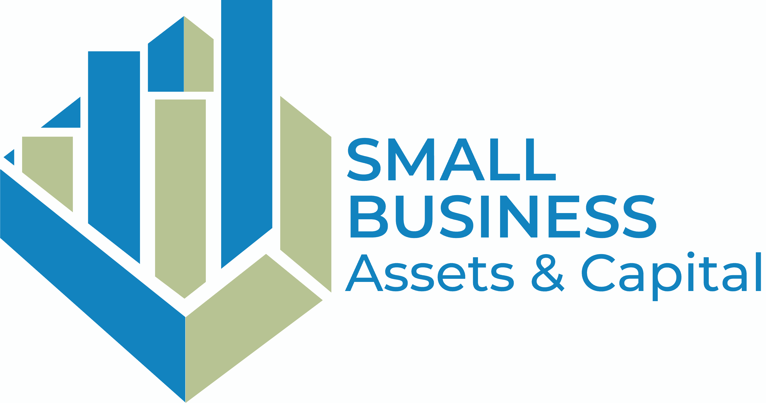 Small Business Assets & Capital