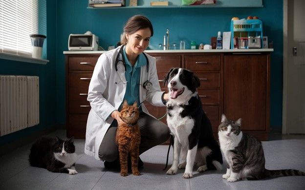 How to Get Business Loans with No Credit Check for My Veterinarian Practice
